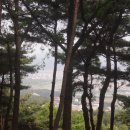 충효농장 이미지