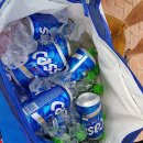 양근섬 | [팻빠라이더스] ### 양근섬 자캠후기..