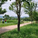 양평파크골프장 이미지