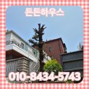 용산-현장-44 | 용산구 큰나무 전지 벌목 수목 업체