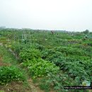 말밭농장 이미지