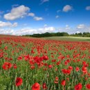 민생 행정사사무소 이미지