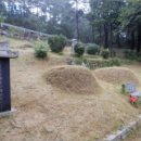 고전면사무소 이미지