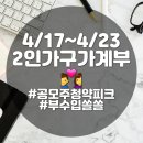 신혼부부가계부 4/17-23 공모주청약피크, 부수입쏠쏠 주간
