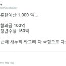 에이..설마 정유라 승마훈련에 1000억이나 썼을라궁?? 이미지