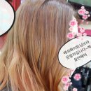 화이트헤어칼라 네이버블로그