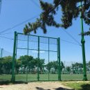 을숙도 리틀야구장 이미지