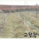 지푸라기농장 이미지