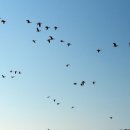 동주농장 이미지