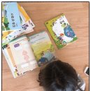 해솔 초등학교 병설유치원 이미지