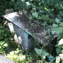 주생면 영촌마을 이미지