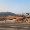 매송면사무소 이미지