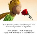 83세 현역! 최강 야구 김성근 감독 책: 인생은 순간이다 (ft. 일구이무, 살아남는 것이 상식이다)