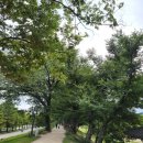 담양라라345 이미지