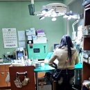 하남동물병원 | 광주 광산구 하남 동물병원 후기 실력 있는 의료진과 합리적인 병원비