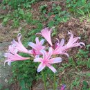 주촌센텀한의원 이미지