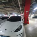 라이온 체육관 이미지