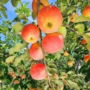 하기공인중개사사무소 이미지