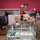 지니 양과점 이미지