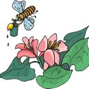 솔리 이미지