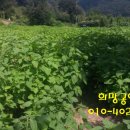 부동농장 이미지