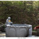 관음사가는길