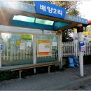 배양2리 이미지