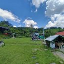 소리야네집 이미지