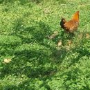 풍원농장 이미지