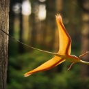 샤로브냐 이미지