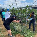 와동1리 이미지