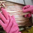 자연산바다 이미지