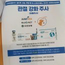 골드퍼피 이미지