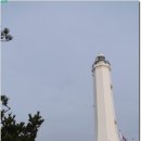 동해시 노인요양원 | 해파랑길(14~16구간) : 포항 구룡포항 ~ 포항 도구해변