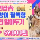 한마음동물병원 이미지