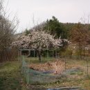 창현농장 이미지