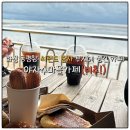 야자수정원 | 화성 궁평항 카페 야자수마을카페 씨랜드 참사 부지 카페 (다녀와서 알게된 비추 후기)