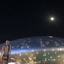 노란천막 이미지