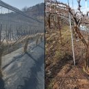 울산광역시농업기술센터 이미지