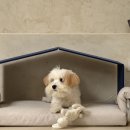 꿀잠하우스 이미지