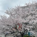 서산꽃게장 | 서산 여행 간장게장 맛집 추천 서산꽃게장 메뉴 가격 내돈내산 솔직후기