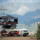 에이스지프 이미지