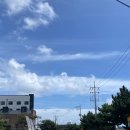 제주도 2박3일 후기(w.연두)