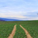 미자농장 이미지