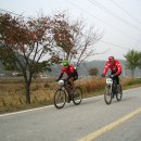 율리 Daum카페