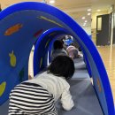 토끼와거북이 | 16개월 아기 겨울학기 문화센터 트니트니 수업 후기.(feat. 토끼와 거북이)