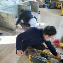 [외부]타일기능사 자격증 이미지