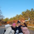 웅포통닭