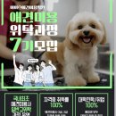 반려견스타일리스트 자격취득과정-기초 이미지