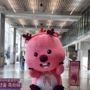 아시아문화박물관 | 광주 가볼만한곳: 아시아의 어제와 오늘을 잇는 '국립아시아문화박물관' 방문기 🏛️